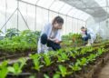 The Modern Food Landscape: Trends, Nutrition, and Evolving Eating Habits