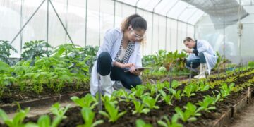 The Modern Food Landscape: Trends, Nutrition, and Evolving Eating Habits