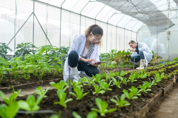 The Modern Food Landscape: Trends, Nutrition, and Evolving Eating Habits