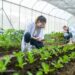 The Modern Food Landscape: Trends, Nutrition, and Evolving Eating Habits
